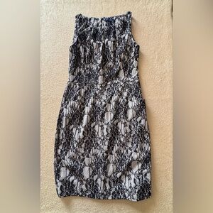 Chaps Black and cream Lace Dress